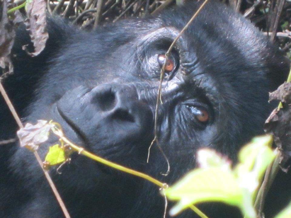 FB_IMG_1642004840357