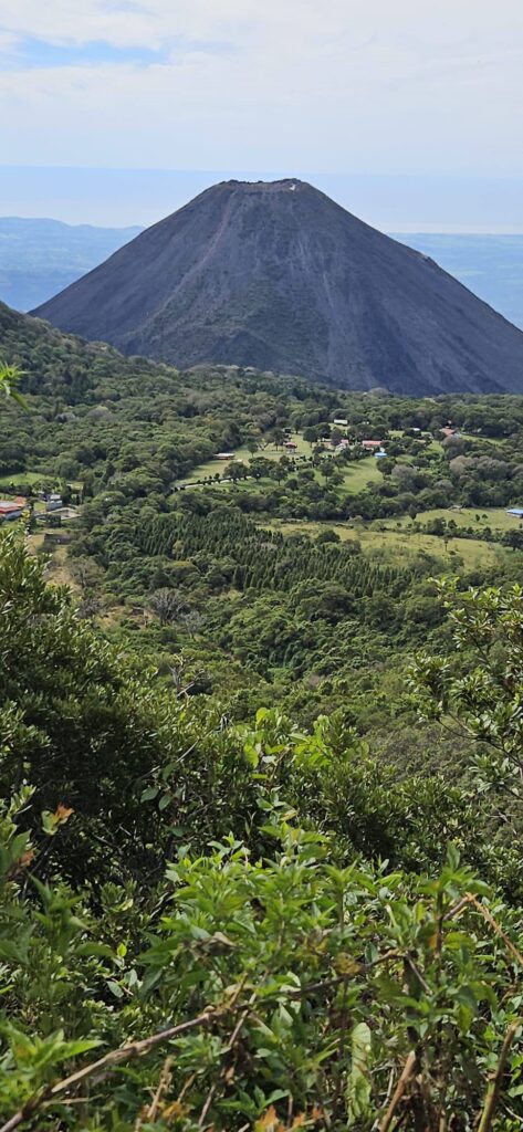 photo_5854714030398835585_w