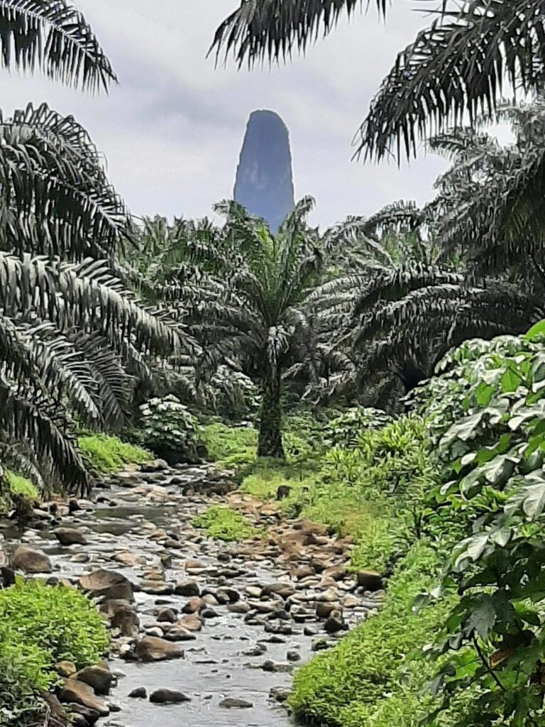 photo_5854714030398835586_w