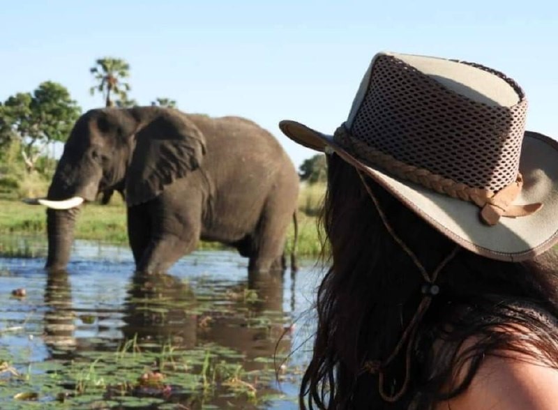 photo_5854714030398835588_x