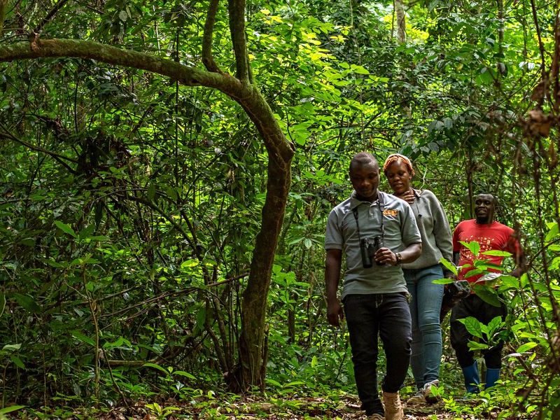 Parque-Nacional-del-Bosque-de-Bugoma