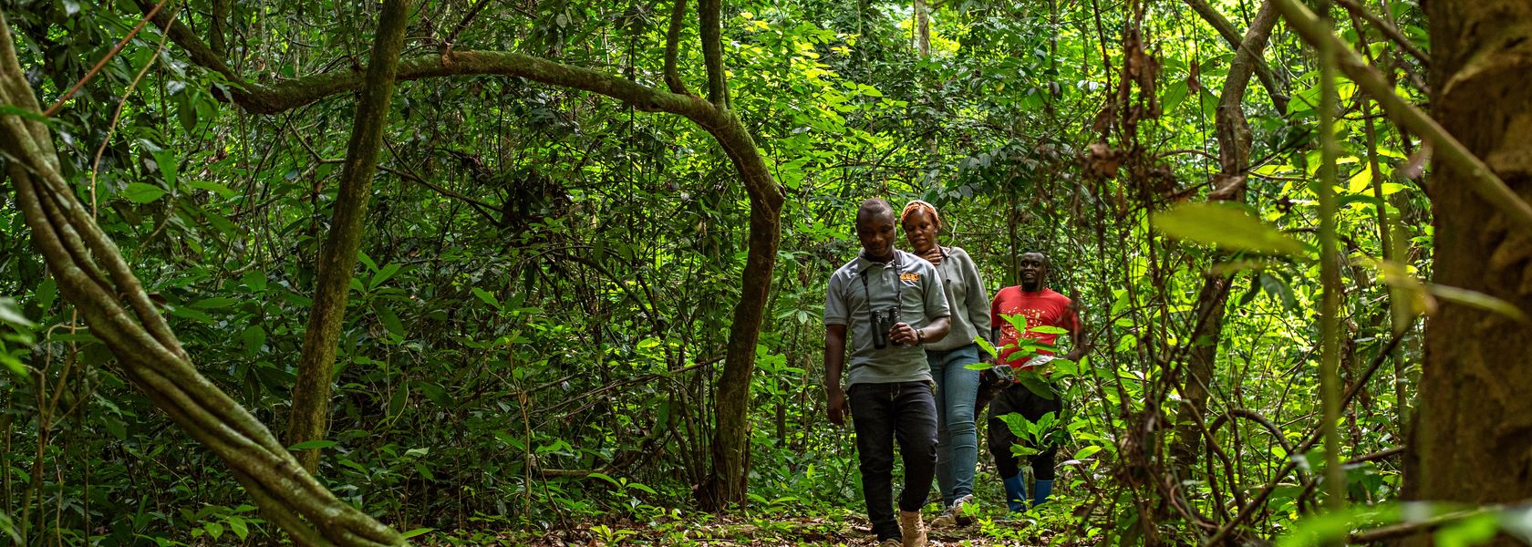 Parque Nacional del Bosque de Bugoma