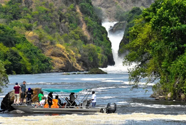 Pesca-deportiva-en-el-Parque-Nacional-de-las-Cataratas-de-Murchison