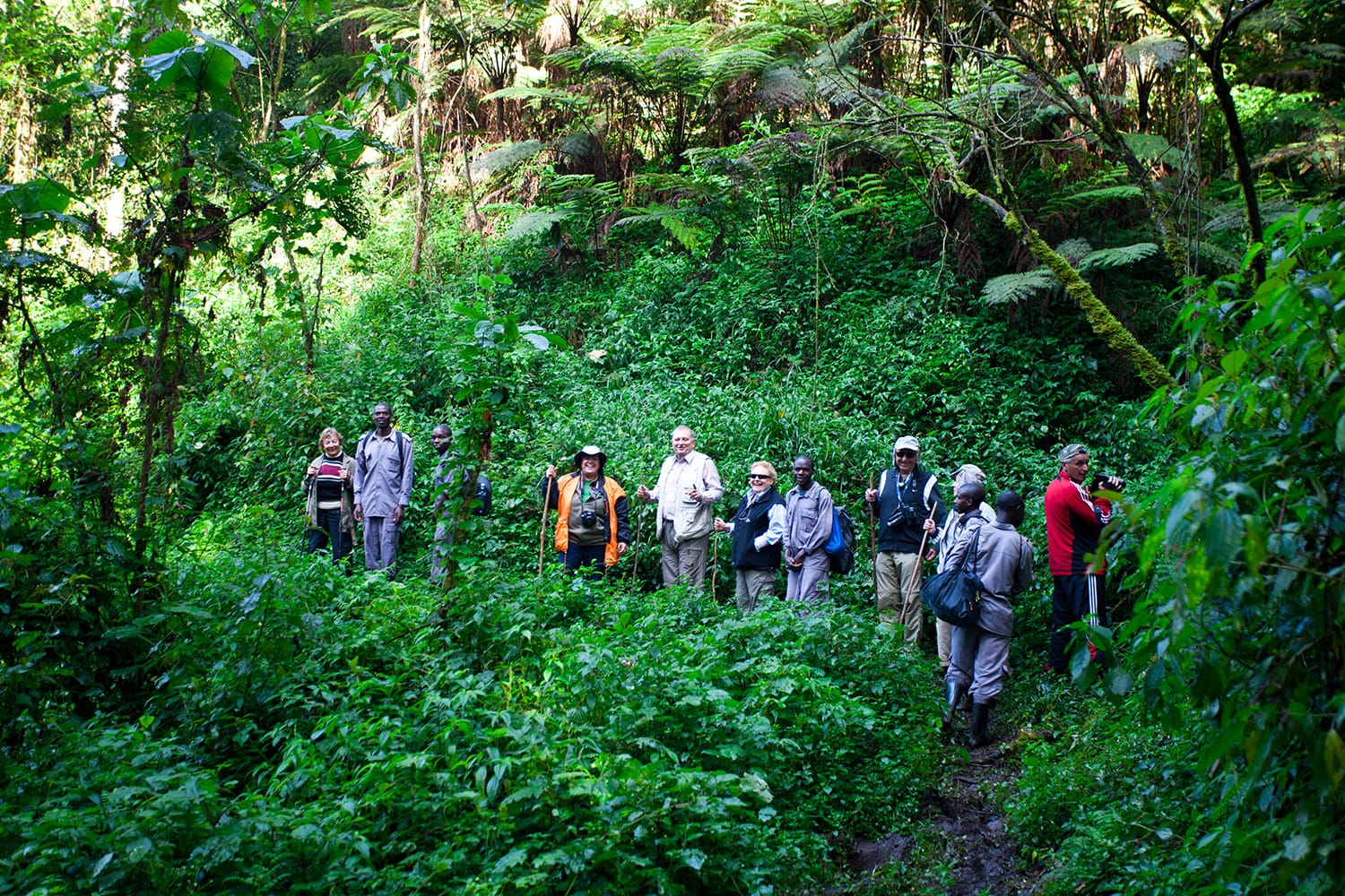 ¿Por qué Uganda es el mejor lugar de África para practicar senderismo en busca de gorilas de montaña?